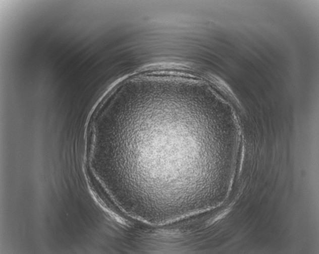 X0000082970844200702152330