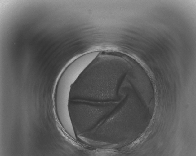 X0000082970864200702152330
