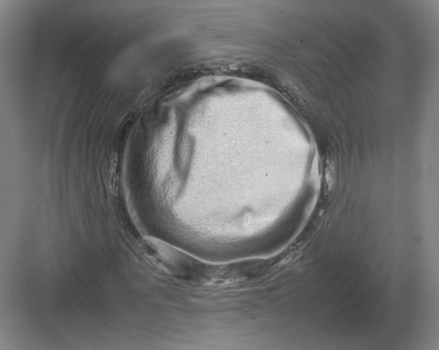X0000082970867200702152329