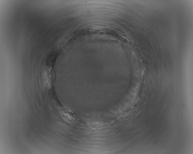 X0000082970868200702152329