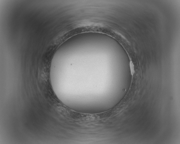 X0000082970869200702152329