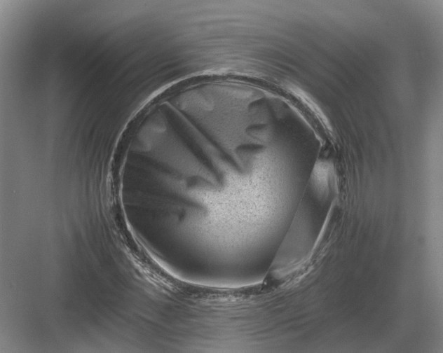 X0000082970876200702152329