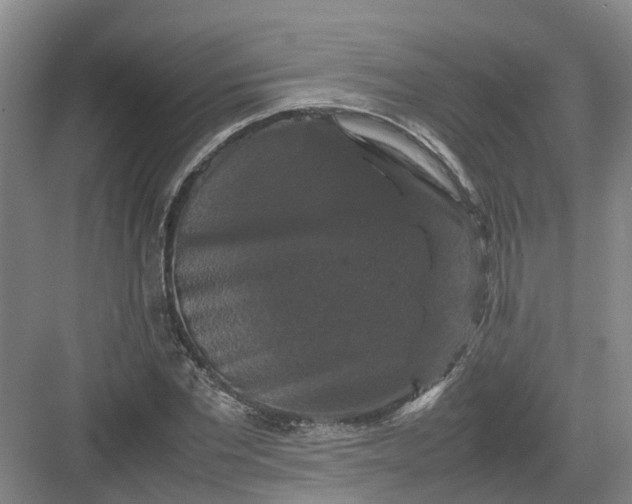 X0000082970877200702152329