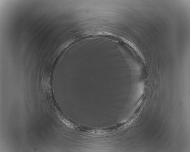 X0000082970881200702152329