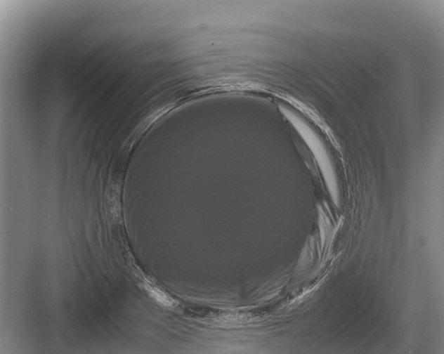 X0000082970889200702152329