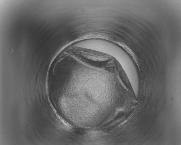 X0000082970894200702152329