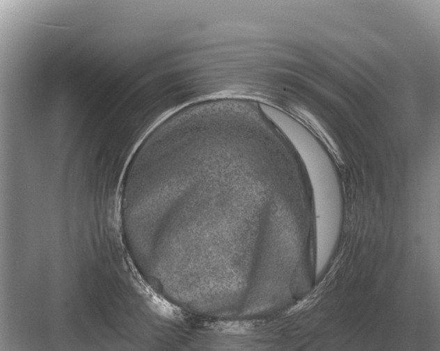 X0000082970900200702152329