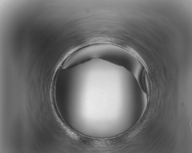 X0000082970901200702152329