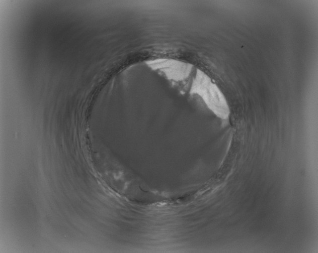 X0000082970913200702152328