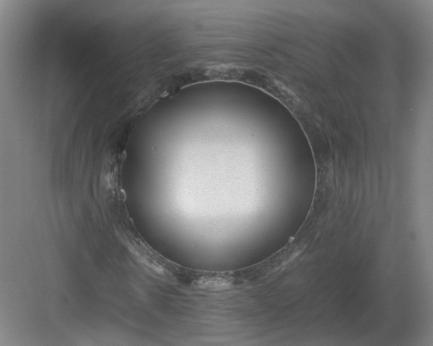 X0000082970914200702152328