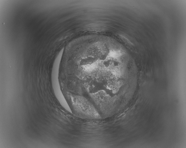 X0000082970917200702152328