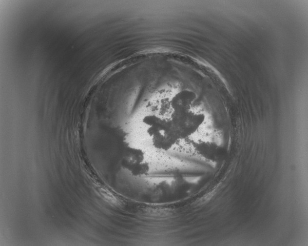 X0000082970921200702152328