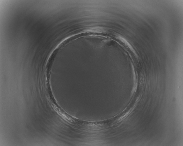 X0000082970923200702152328