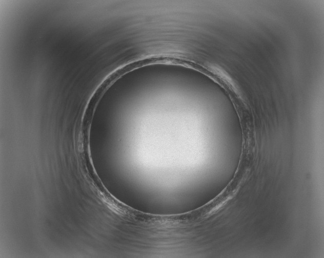 X0000082970924200702152328