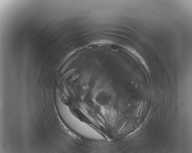 X0000082970945200702152328