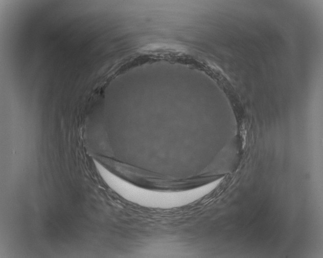 X0000082970965200702152327