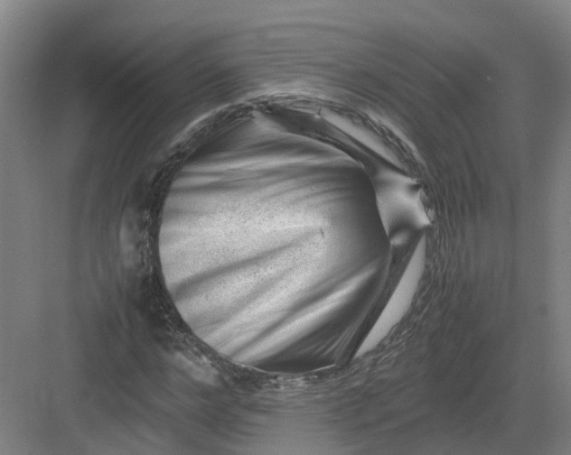 X0000082970968200702152327