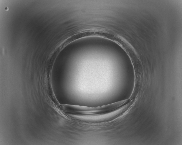 X0000082970969200702152327