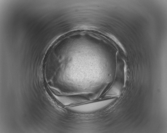 X0000082970972200702152327