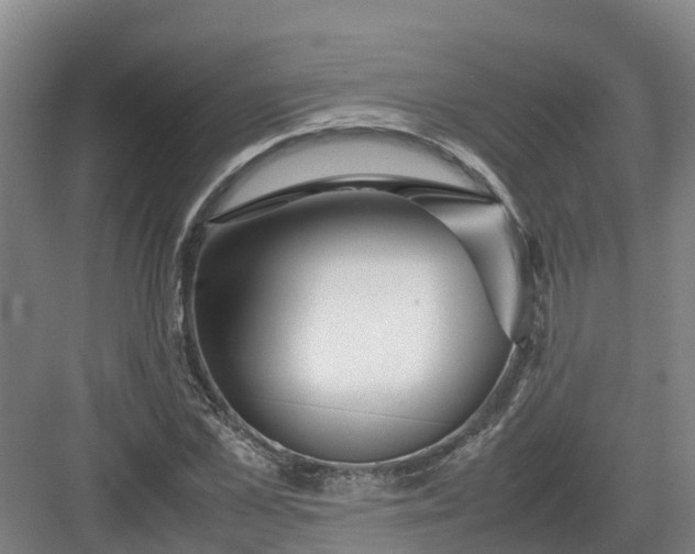 X0000082970973200702152327