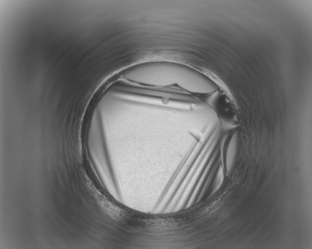 X0000082970980200702152327