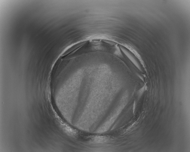 X0000082970984200702152327