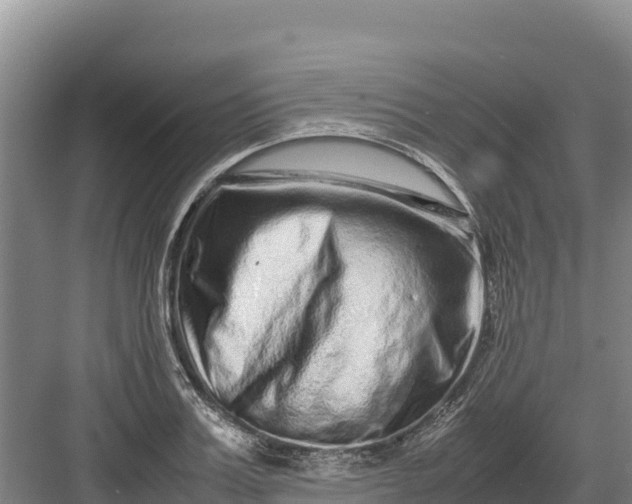 X0000082970987200702152327