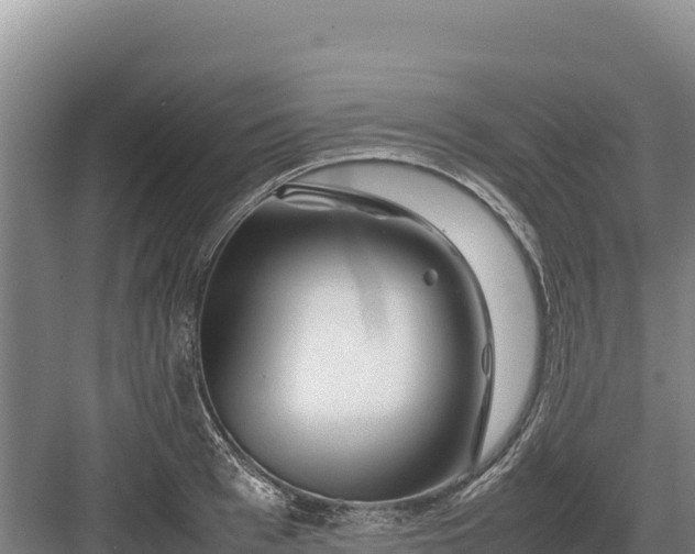 X0000082970993200702152327