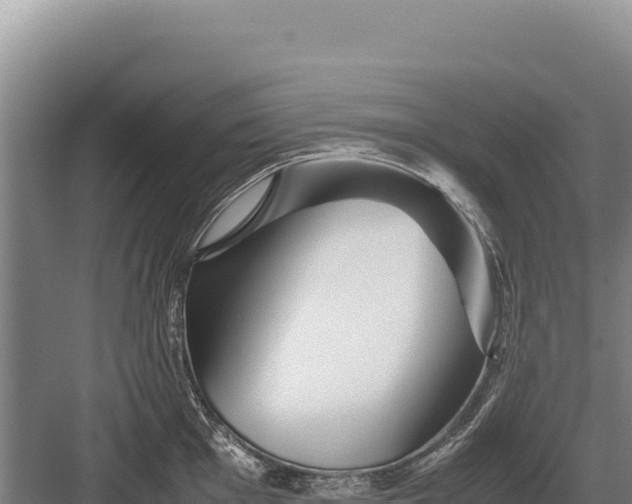 X0000082971001200702152327