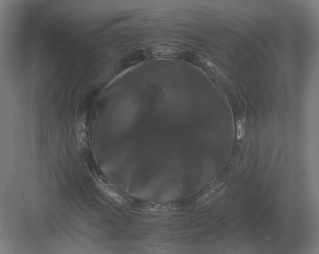 X0000082971011200702152326