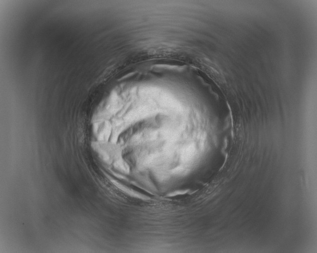 X0000082971012200702152326
