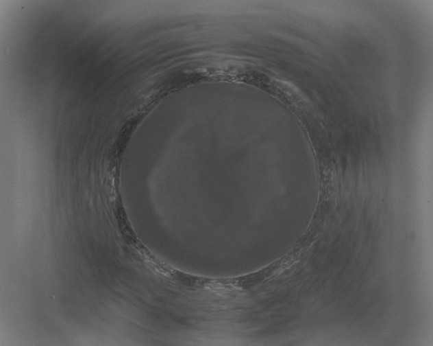 X0000082971013200702152326
