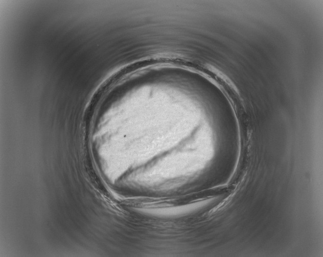 X0000082971021200702152326