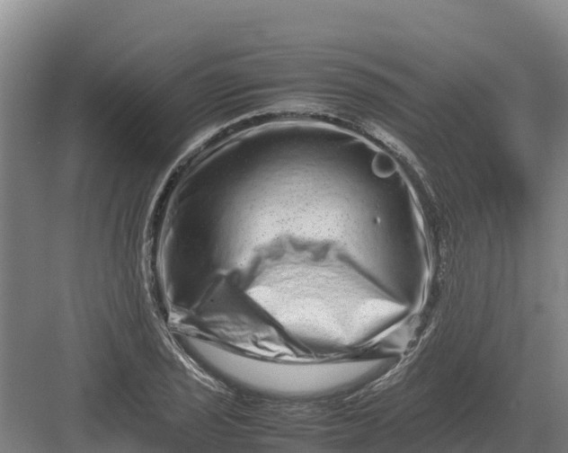 X0000082971029200702152326