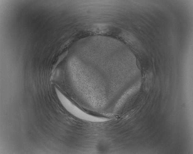 X0000082971058200702152326