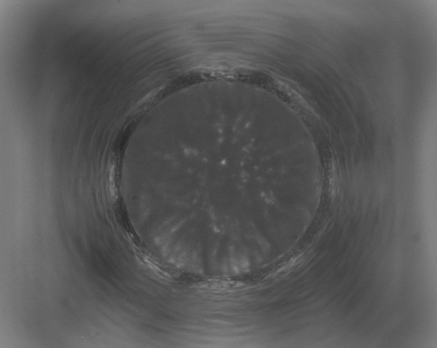 X0000082971060200702152326