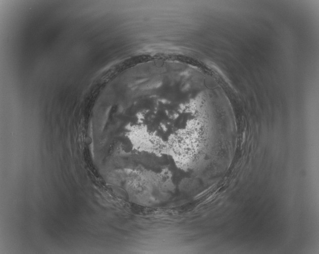 X0000082971063200702152326