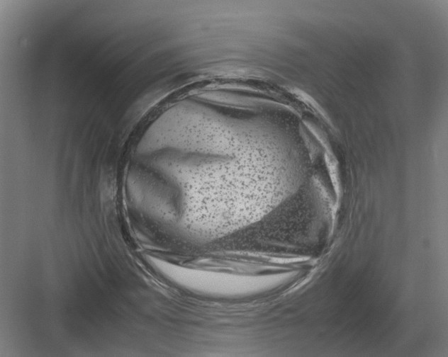 X0000082971065200702152326