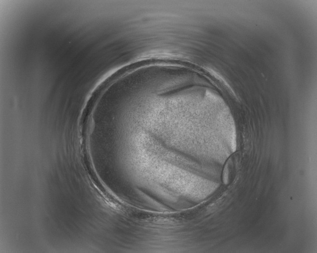 X0000082971070200702152326