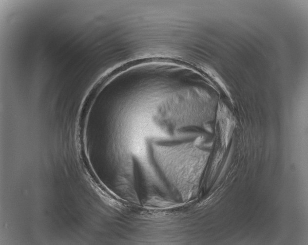 X0000082971072200702152326