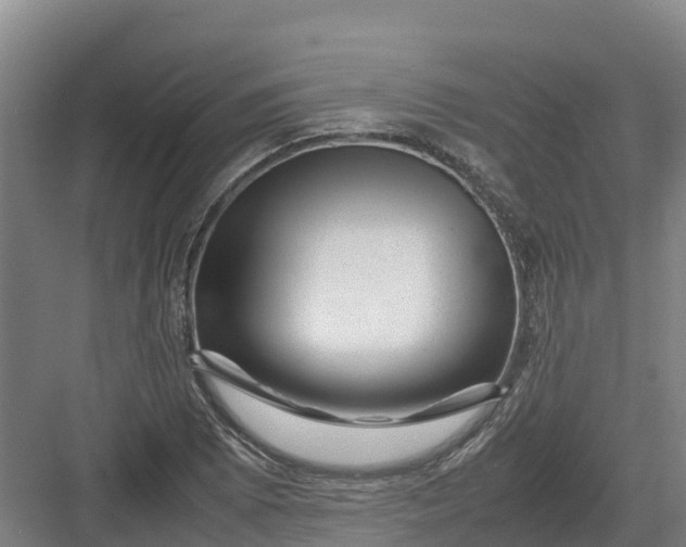 X0000082971073200702152326