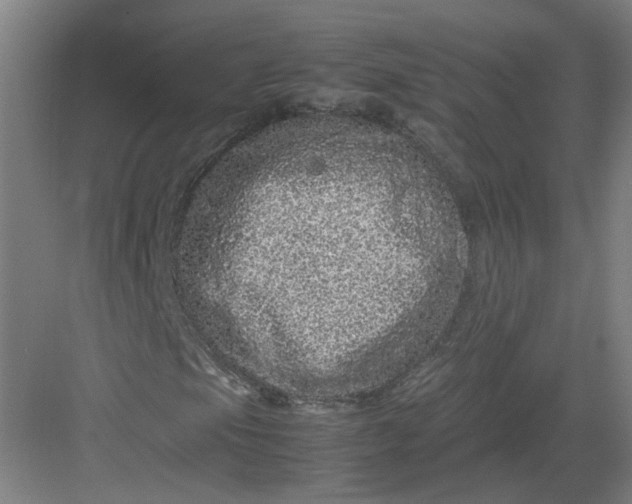 X0000082971105200702152324