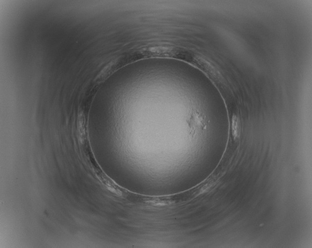 X0000082971107200702152324