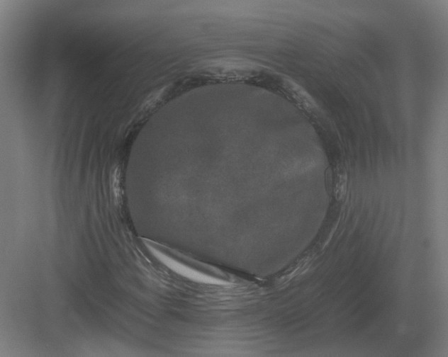 X0000082971108200702152324