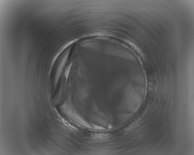 X0000082971117200702152324