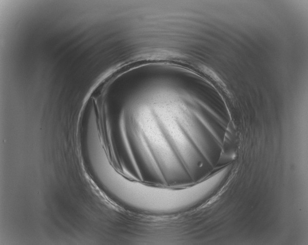 X0000082971122200702152325