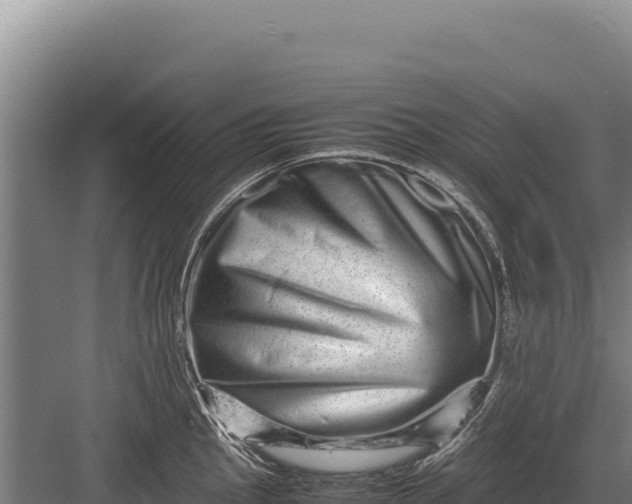 X0000082971145200702152325