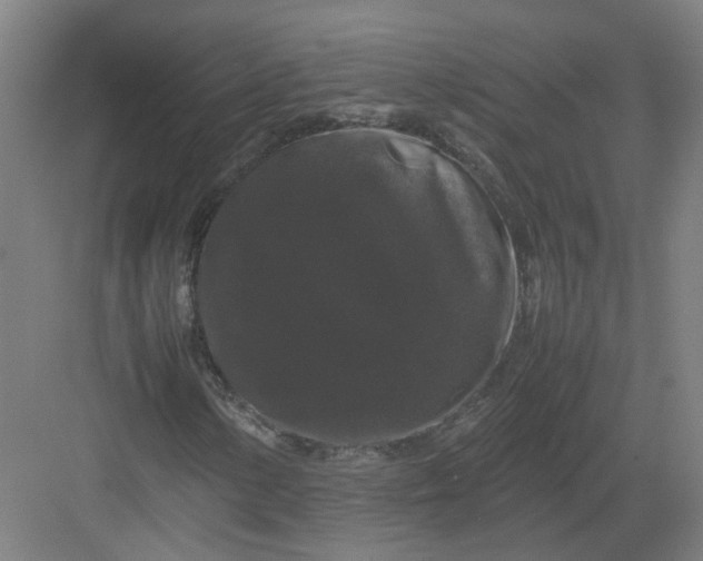 X0000082971154200702152324
