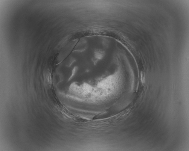 X0000082971155200702152324