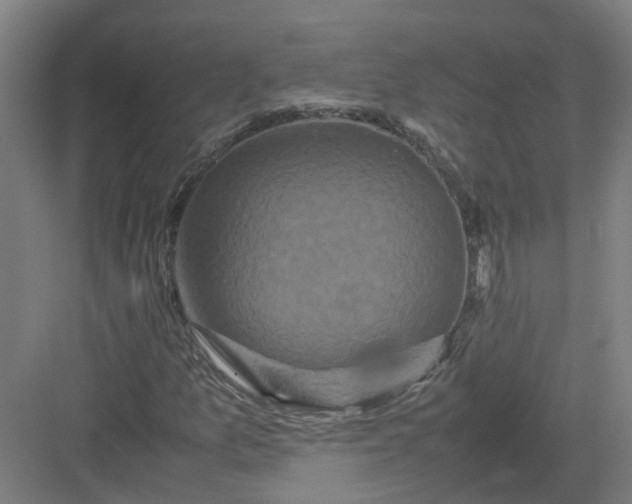 X0000082971157200702152324